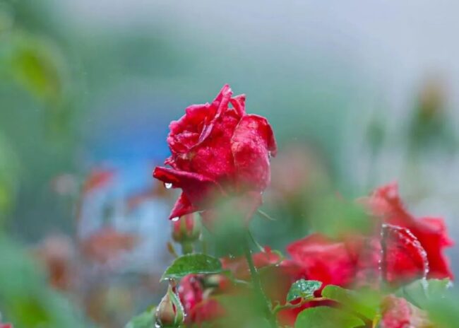 拜访了一位久避尘俗的老和尚,产生的对话颠覆了我所接触到的…