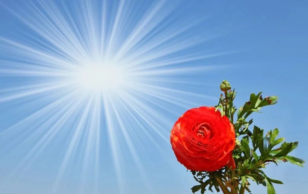 【感悟】面对怨怼与误解,从容淡定才是良方