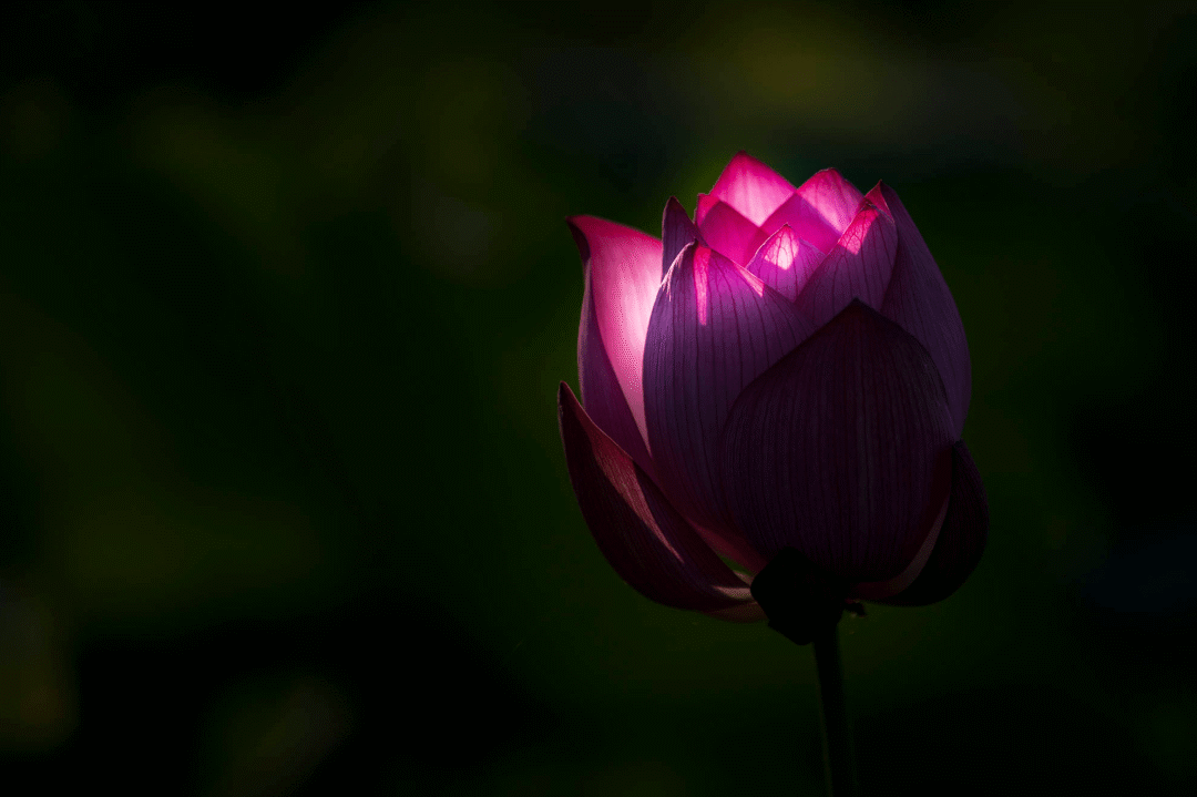 魔强法弱的时代,如何正确选择佛法?