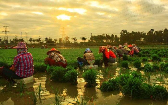 惜福,从节约的细节开始