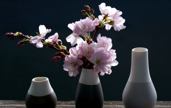 自从皈依后,我明白了因果业力的影响,更要好好修行了脱生死轮回之苦