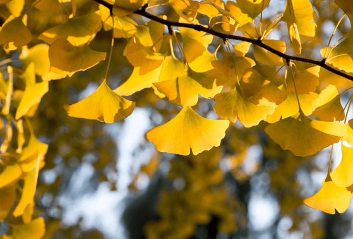 在了生脱死的路上,修行人要练就“火眼金晴”