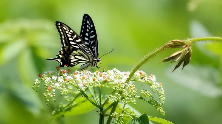 你为什么不生气了?