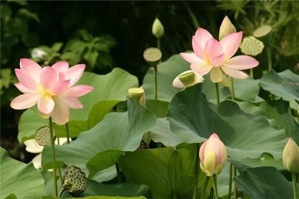 为什么说:“万般带不走,唯有业随身”