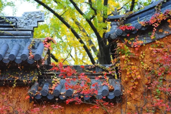 什么是“天龙八部”?