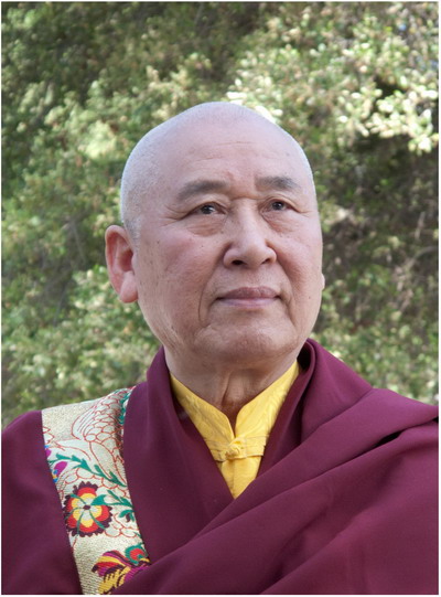 拙火和金刚禅大成就者开初仁波且恭敬礼赞南无第三世多杰羌佛-图片1