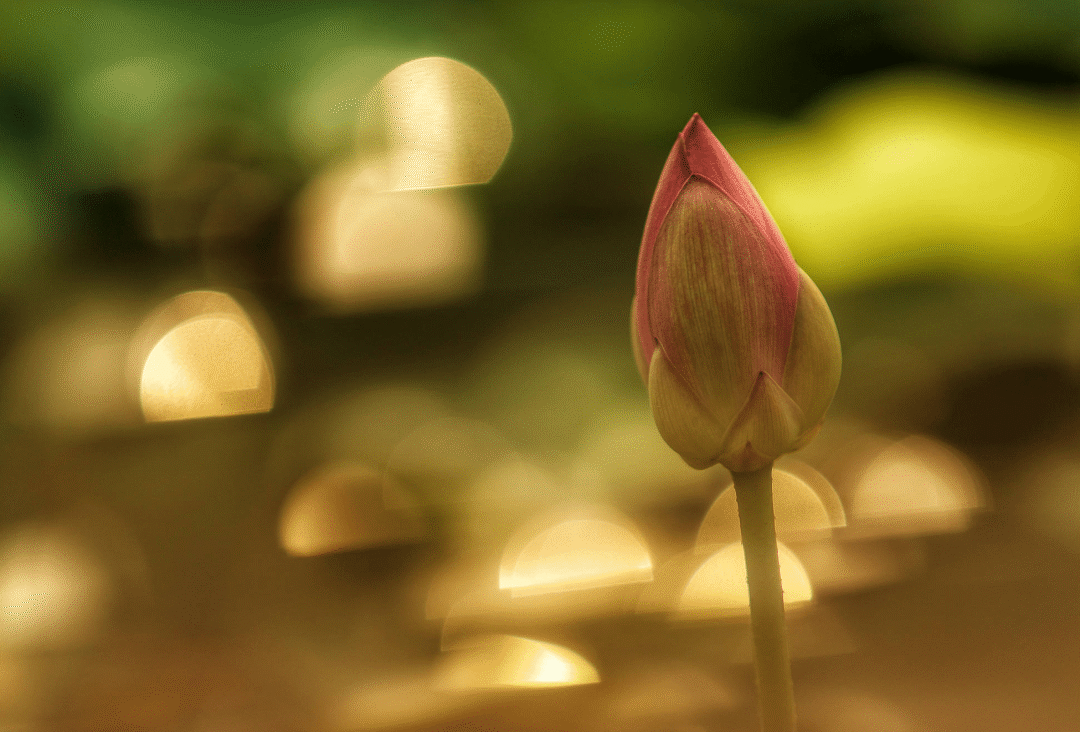 门口挂镜子能辟邪吗?求签问卦准不准?