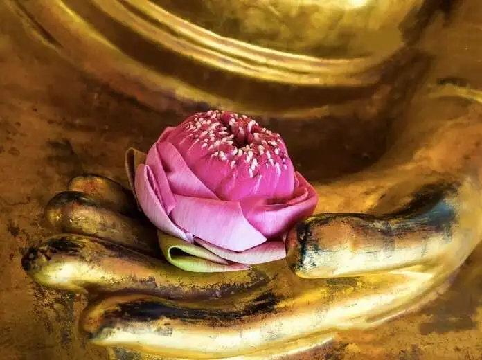 夏季最受青睐的八种食物